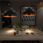 2 Pcs Semi-Spherical Ceiling Lamps Black and Gold 40cm E27