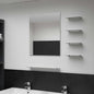 Espejo de pared con 5 estantes plateado 100x60 cm