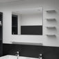 Espejo de pared con 5 estantes plateado 100x60 cm