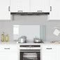 Protector contra salpicaduras cocina vidrio templado 100x50 cm