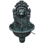 Wall fountain lion head design