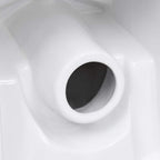 Inodoro de cerámica con cisterna blanco