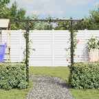 Arco de jardín 200x52x204 cm