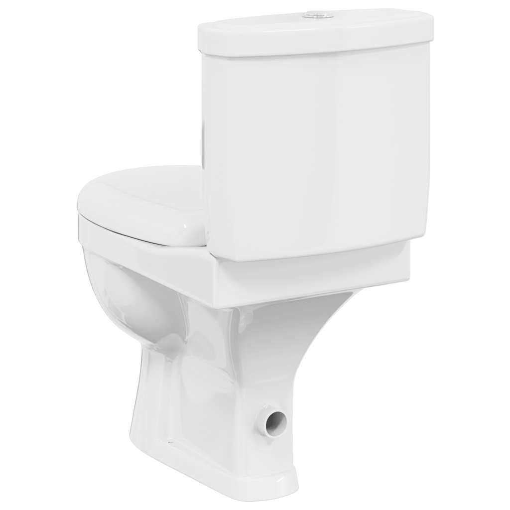 Inodoro WC con cisterna blanco
