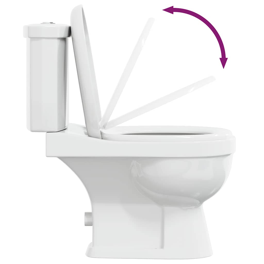 Inodoro WC con cisterna blanco