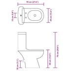 Inodoro WC con cisterna negro