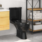 Inodoro WC con cisterna negro