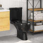 Black WC toilet with cistern