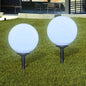 Garden Path Lights 2pcs LED 30 cm with Spike