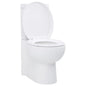 White Ceramic Corner Toilet WC