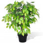 Planta anã artificial de Fícus em vaso, 60 cm