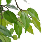 Planta enana artificial de ficus en maceta, 60 cm