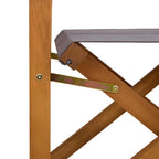 Sillas de director 2 unidades madera maciza de acacia