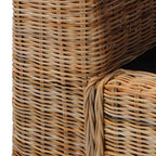 Conjunto de sofás 2 piezas con cojines ratán natural