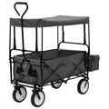 Carrito de mano plegable con capota acero gris
