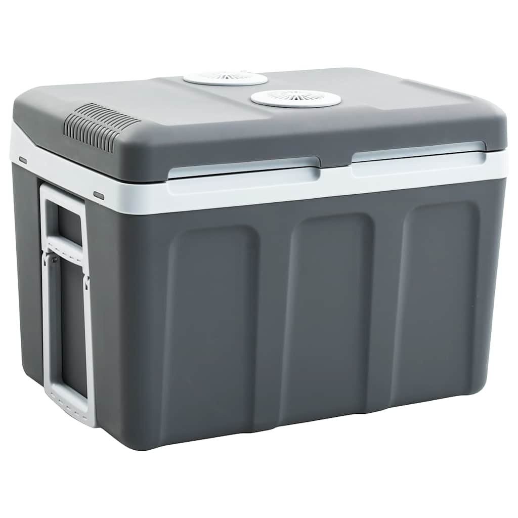 Portable thermoelectric cooler 40 litres 12 V 230 V E