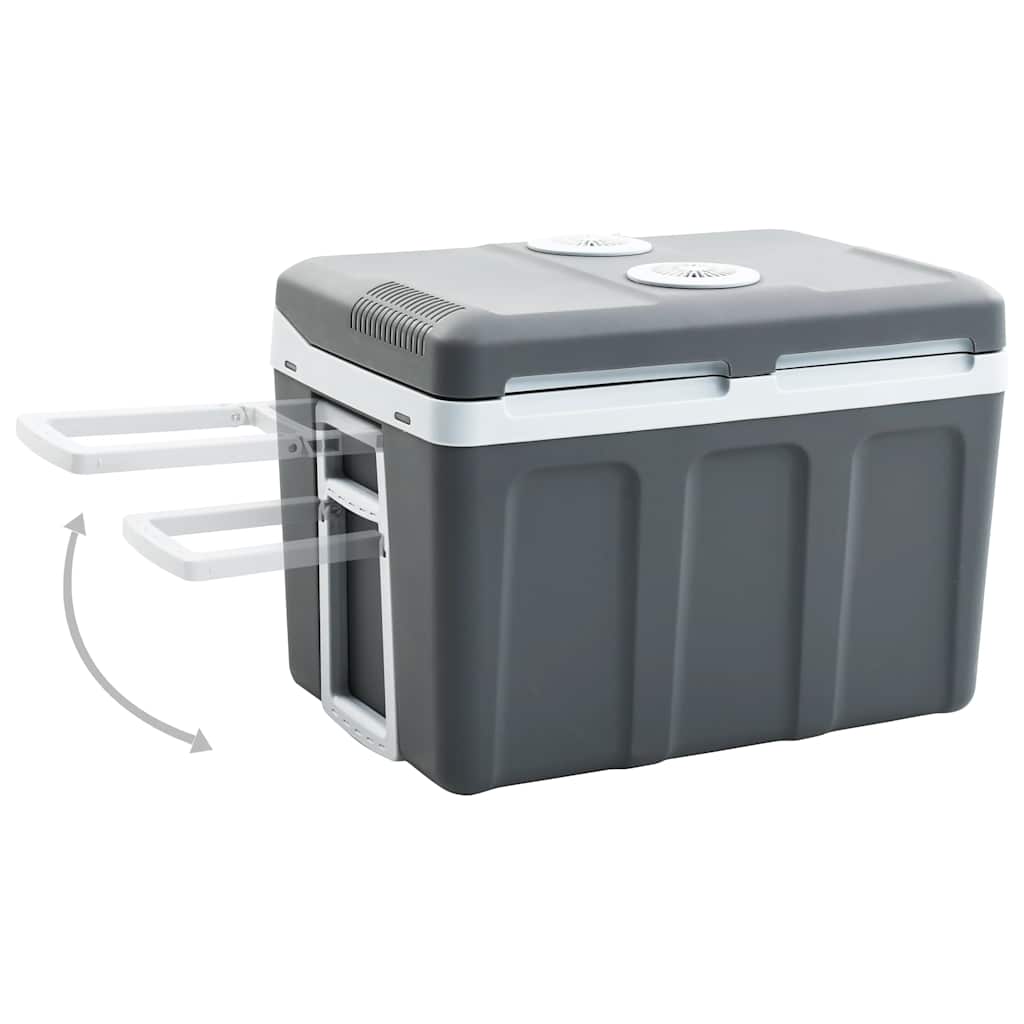 Portable thermoelectric cooler 40 litres 12 V 230 V E