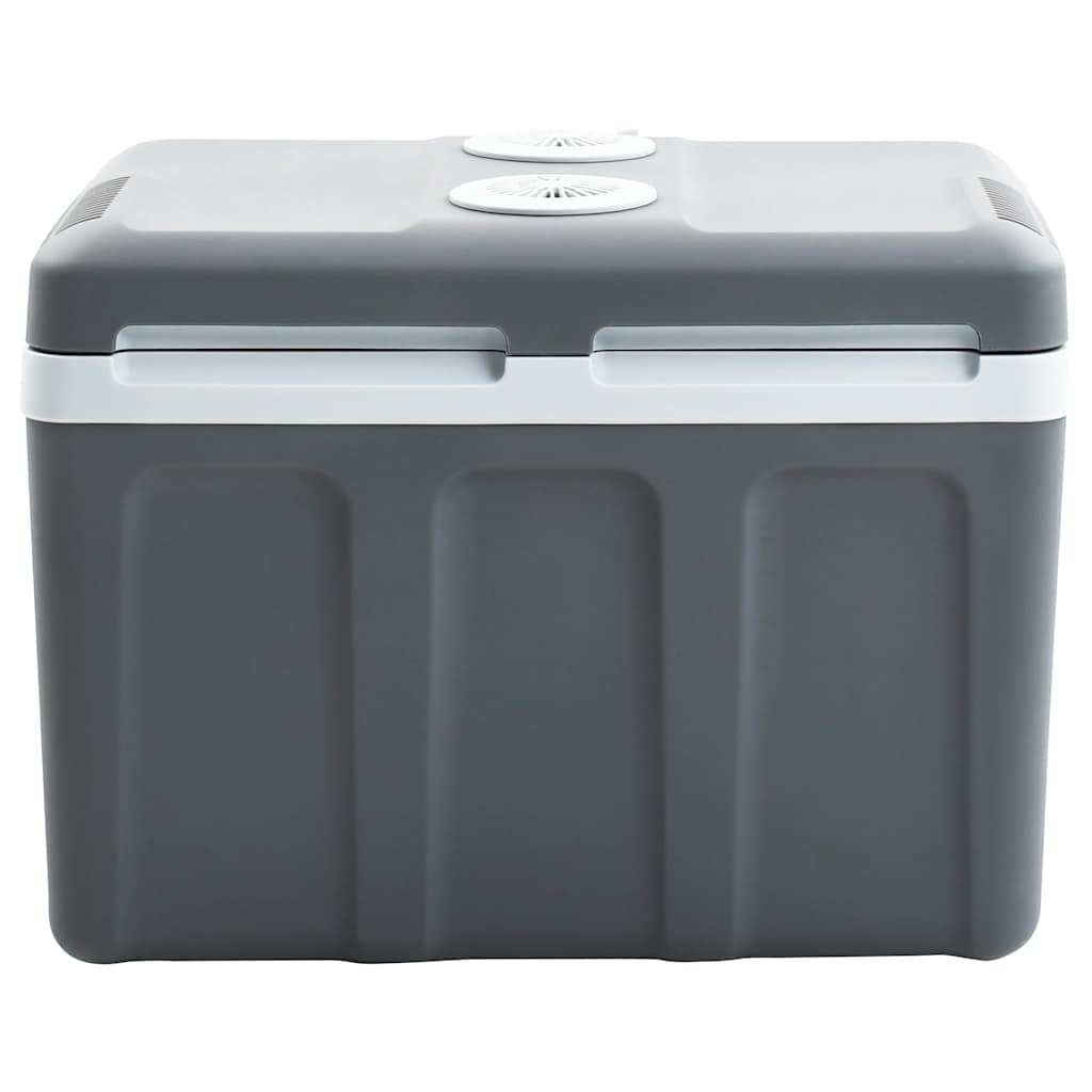 Portable thermoelectric cooler 40 litres 12 V 230 V E