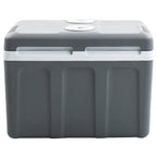 Portable thermoelectric cooler 40 litres 12 V 230 V E