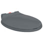 Soft-close toilet seat, quick release, oval, blue