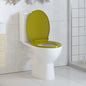 Soft-close toilet seat, quick release, oval, blue