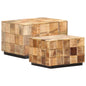 2 pcs rough mango wood block design coffee tables