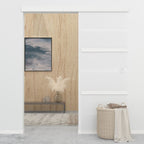 Sliding door with soft close, ESG glass and aluminum 76x205 cm