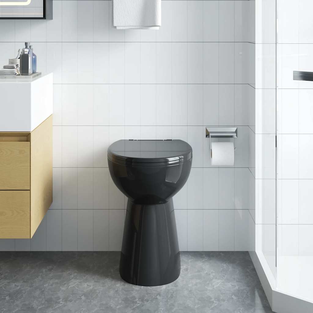 Rimless toilet, 7 cm extra height, soft close, white ceramic