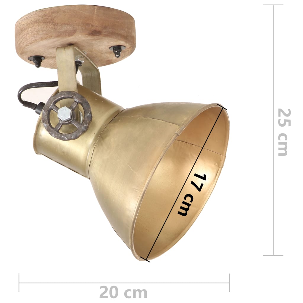 Lámparas de pared/techo industrial 2 uds latón 20x25 cm E27