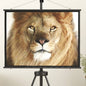 100" 16:9 Projector Screen