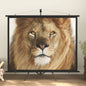 100" 16:9 Projector Screen
