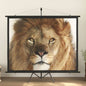 100" 16:9 Projector Screen