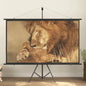 100" 16:9 Projector Screen