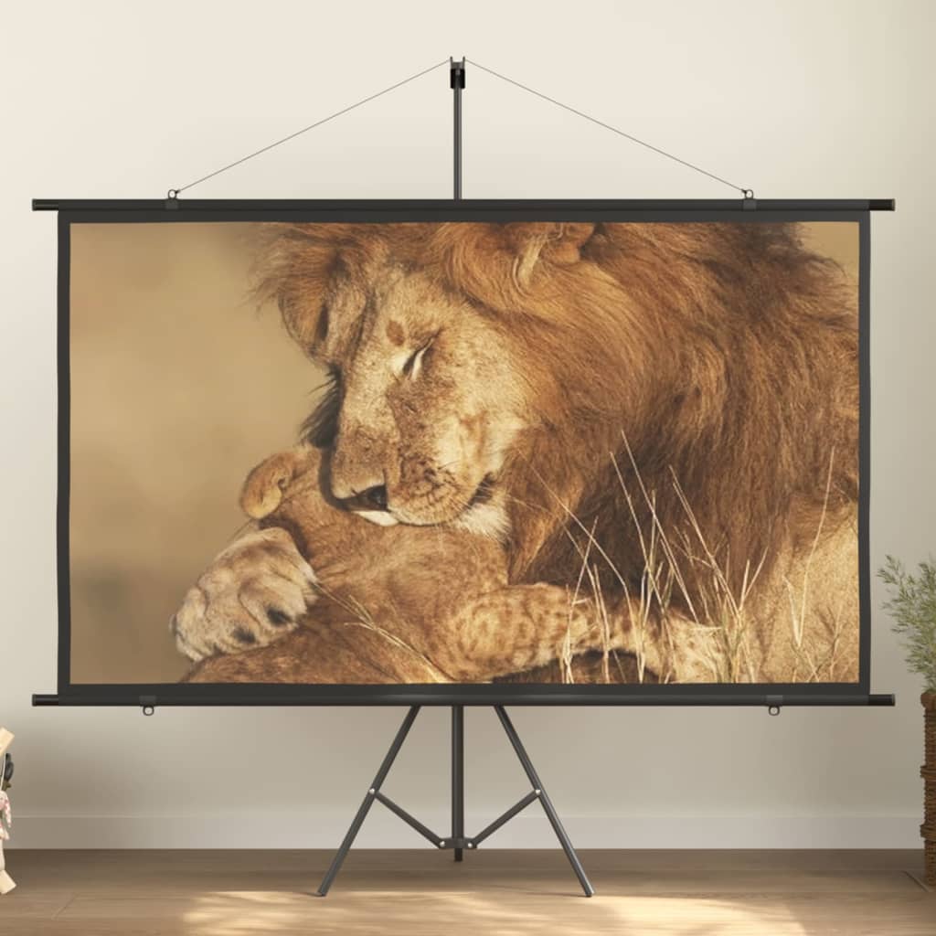 Pantalla de proyección 100" 16:9