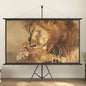 100" 16:9 Projector Screen