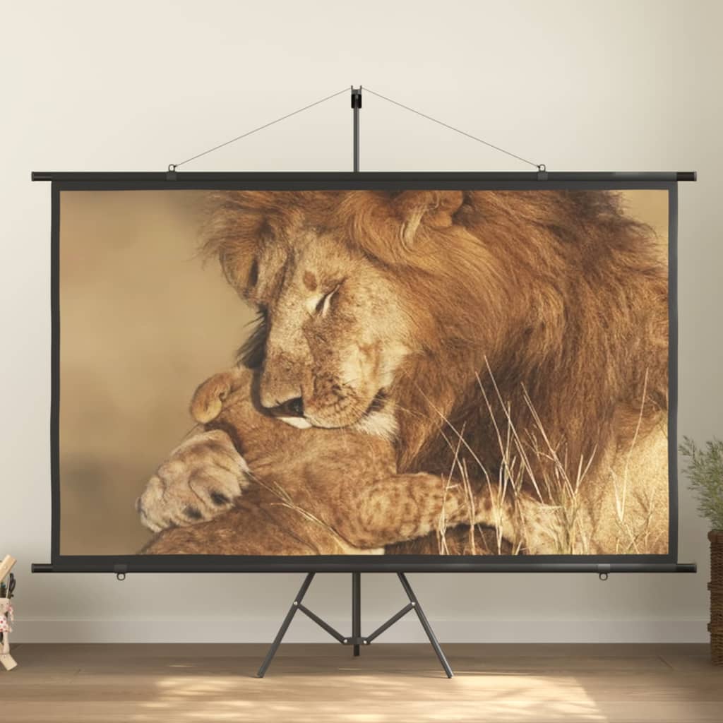 Pantalla de proyección 100" 16:9