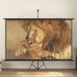 100" 16:9 Projector Screen