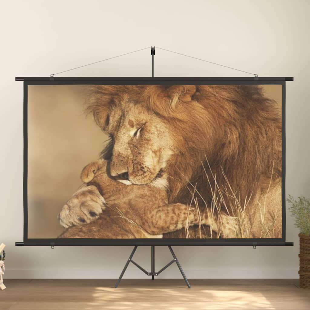 Pantalla de proyección 100" 16:9
