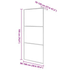 Mampara de ducha accesible vidrio ESG claro 100x195 cm