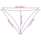 Toldo de vela antracita HDPE 160 g/m² 4x4x5,8 m