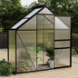 Aluminum greenhouse 302x190x195 cm 11.19 m³