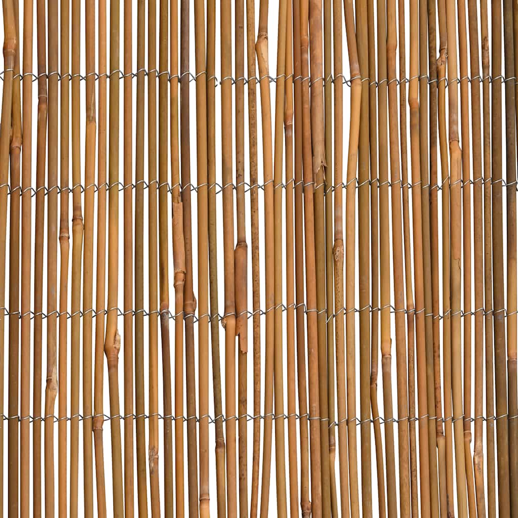 Valla cañizo de bambú 500x100 cm