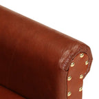Sillón butaca de cuero auténtico marrón