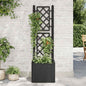 Raised planter with trellis and automatic anthracite irrigation system