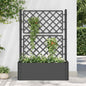 Raised planter with trellis and automatic anthracite irrigation system