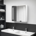 Armario de baño con espejo LED blanco brillante 60x11x80 cm