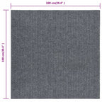 Alfombra felpudo atrapasuciedad gris 100x100 cm