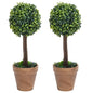 Plantas de boj artificial 2 uds forma bola maceta verde 27 cm