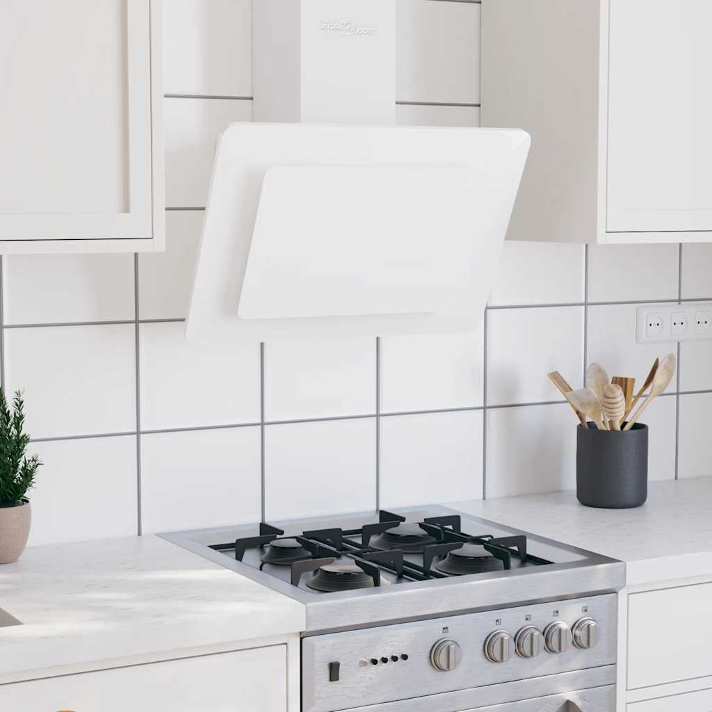 Stainless steel and silver tempered glass extractor hood 60 cm