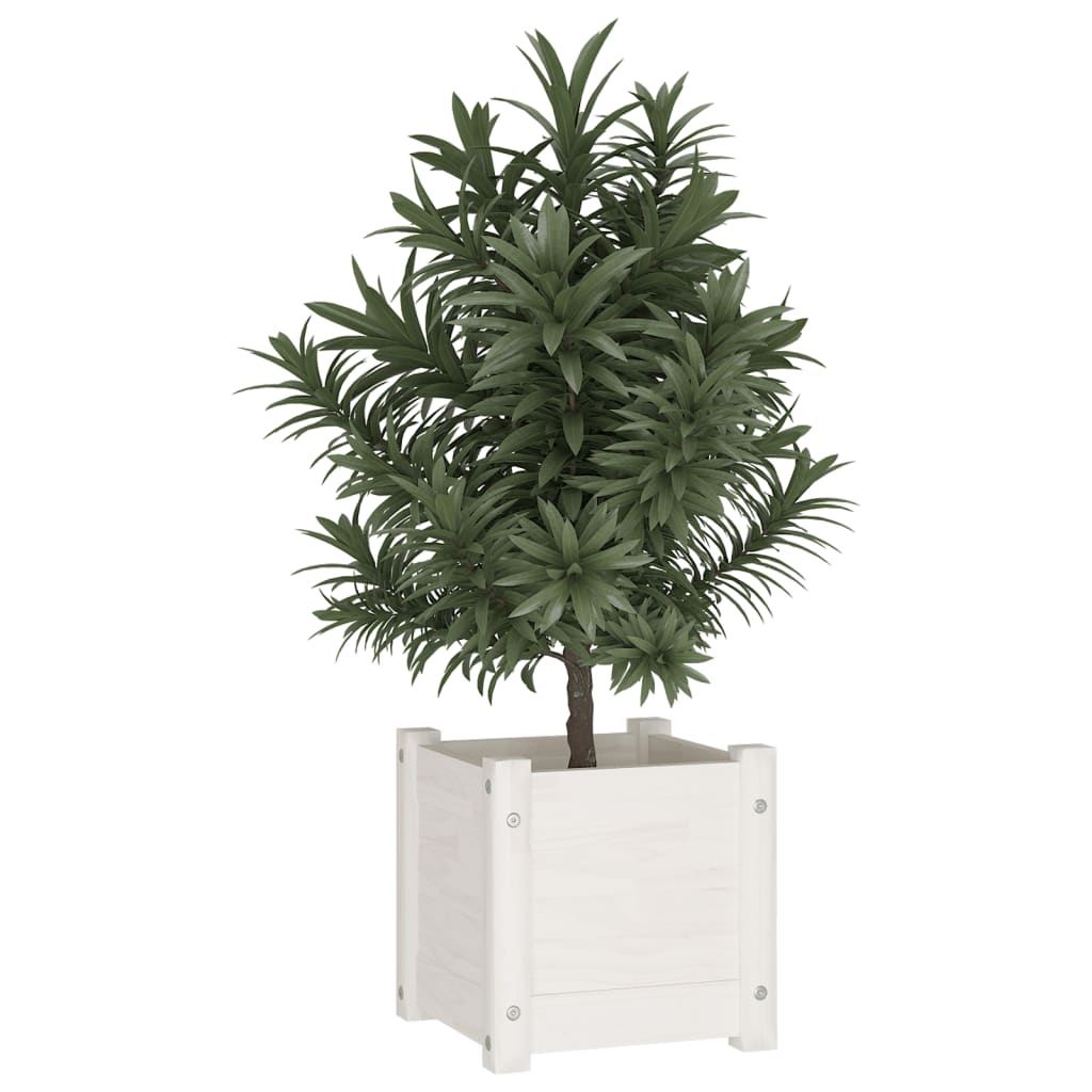 Jardinera de madera maciza de pino blanco 31x31x31 cm